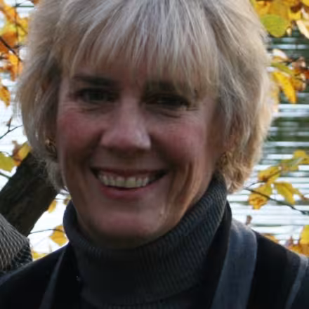Sheryl York