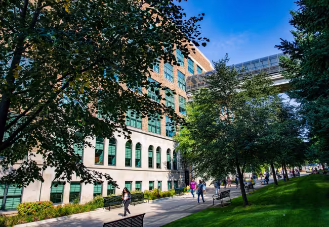 main campus