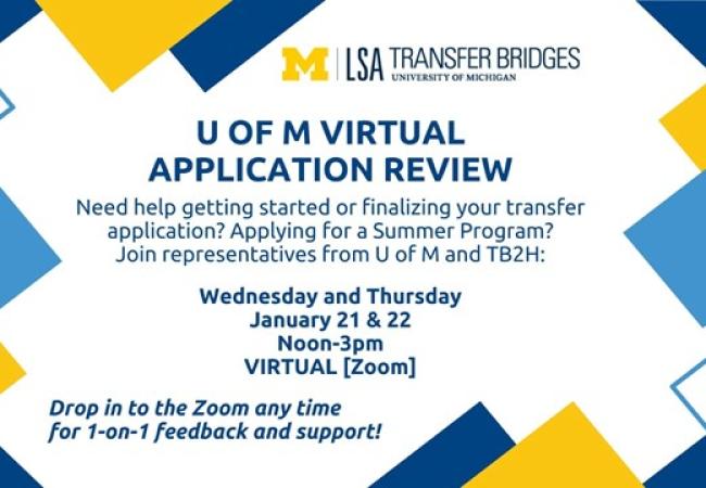 UMICH Application Workshop VIRTUAL