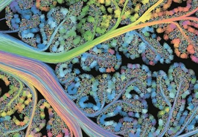 Guest Speaker: Dr. Estibaliz Mujika