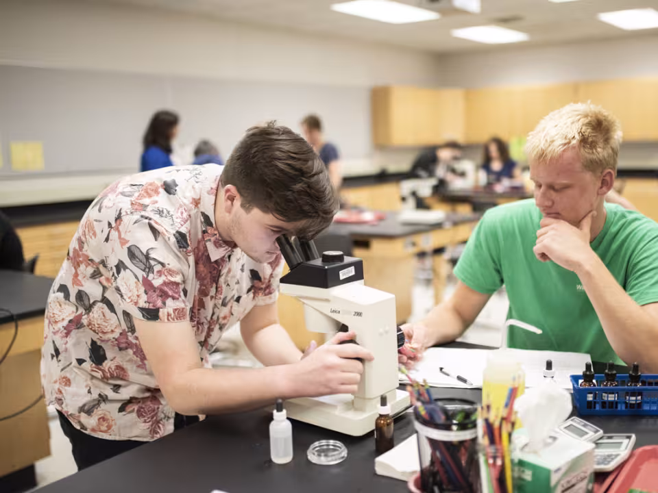 Student looking in microscope