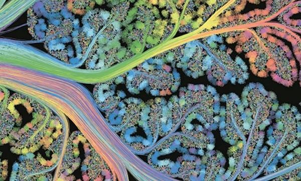 Guest Speaker: Dr. Estibaliz Mujika