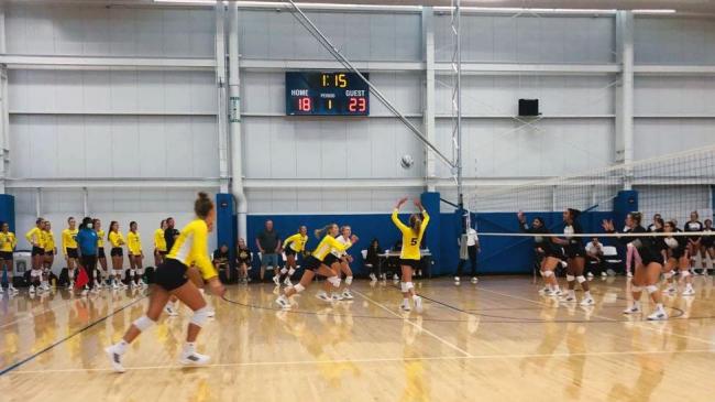 Volleyball team in action.