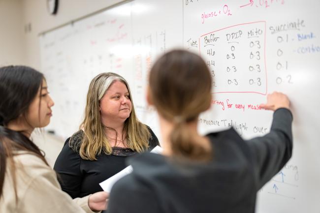 Biology professor Niki Evans explains a concept on a whiteboard to two students.
