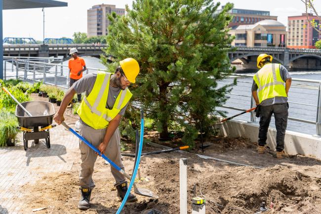 People in reflective vests and hardhats dig with shovels.
