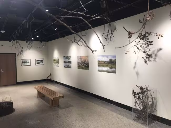 Kristina Katerberg's exhibit includes photos, branches anda video.