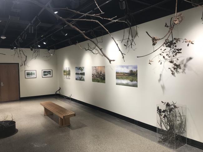 Kristina Katerberg's exhibit includes photos, branches anda video.