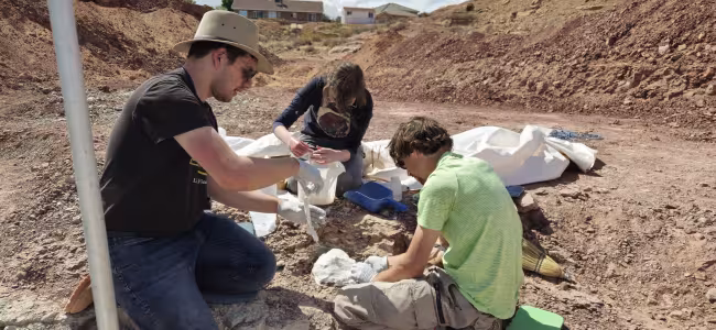 Three people work to excavate a fossil.