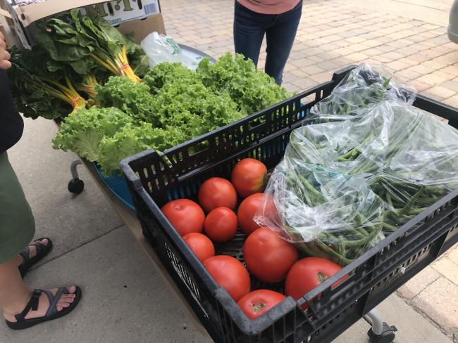Fresh produce supplied by Plainsong Farm at a food distribution.