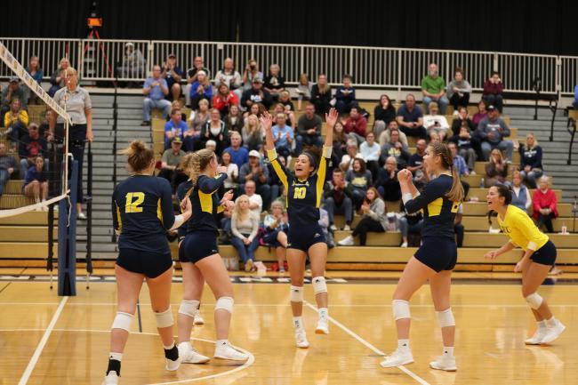 Volleyball players celebrating after scoring a point.