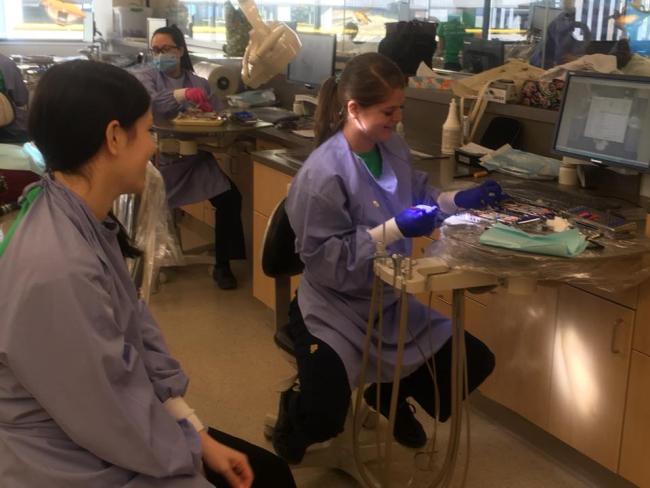 Two dental students prepare a tray of instruments.