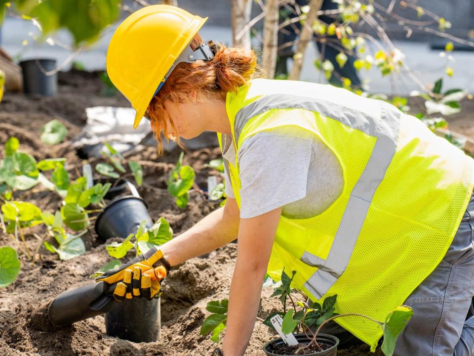 A person digs with a small shovel.