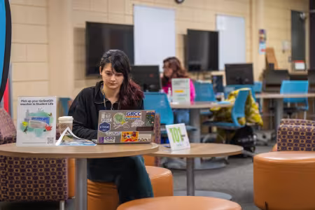 A person looks at a laptop.