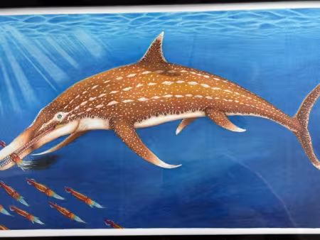 An illustration of an ichthyosaur swimming in the ocean.