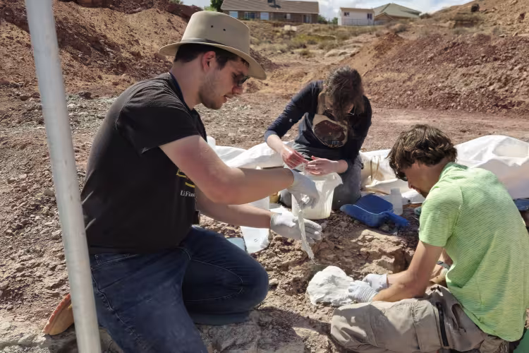 Three people work to excavate a fossil.