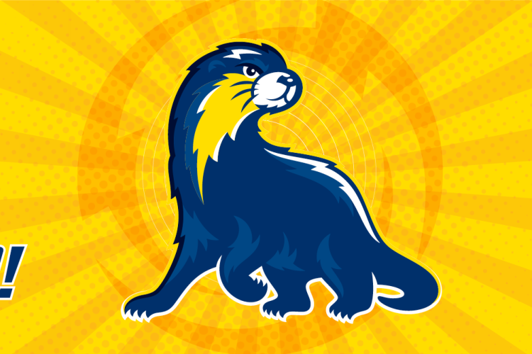 An illustration of a blue and yellow otter and the text "Meet the River Raider!"