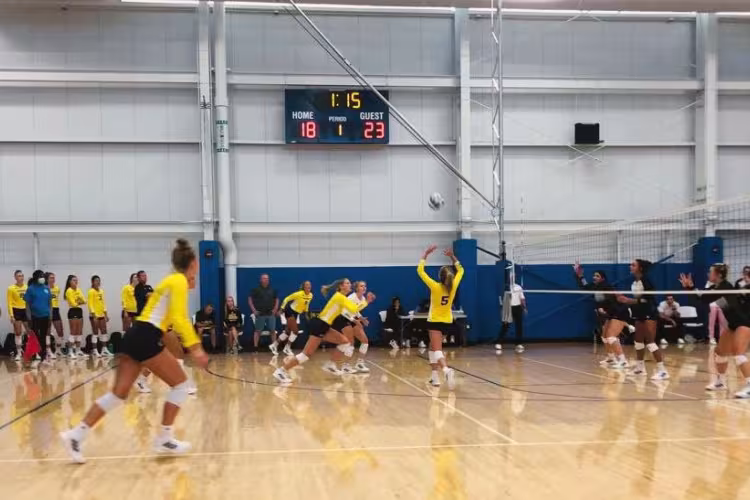 Volleyball team in action.