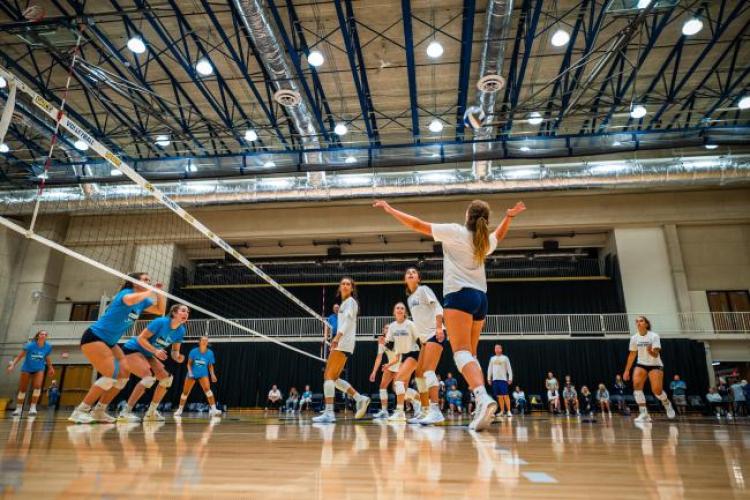 Volleyball players in action.