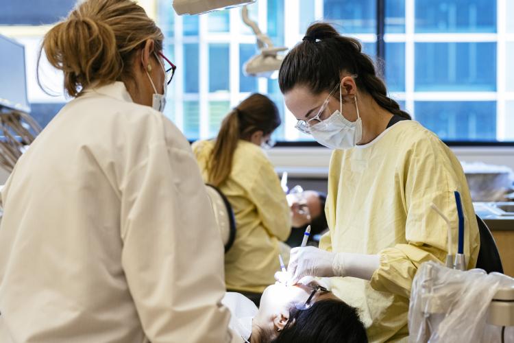 Dental students working in a lab