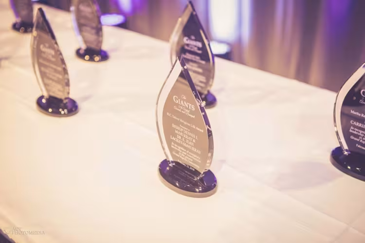 Awards on a table awaiting presentation. 