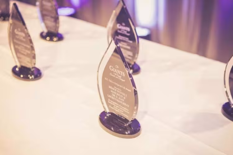 Photo of several GIANT Award trophies.