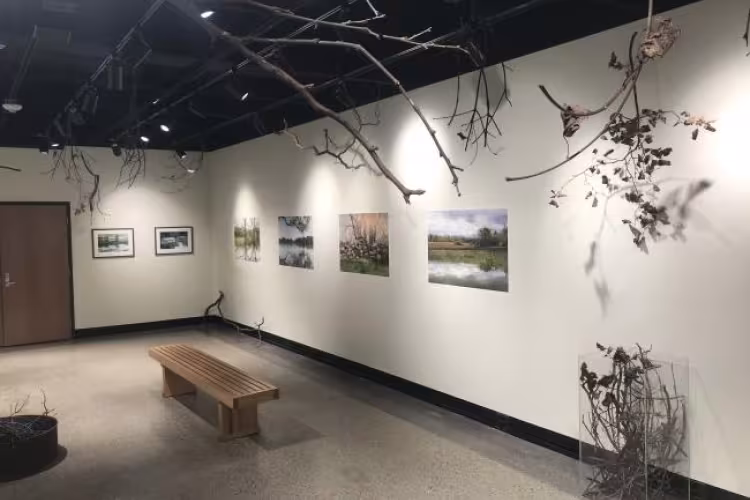 Kristina Katerberg's exhibit includes photos, branches anda video.