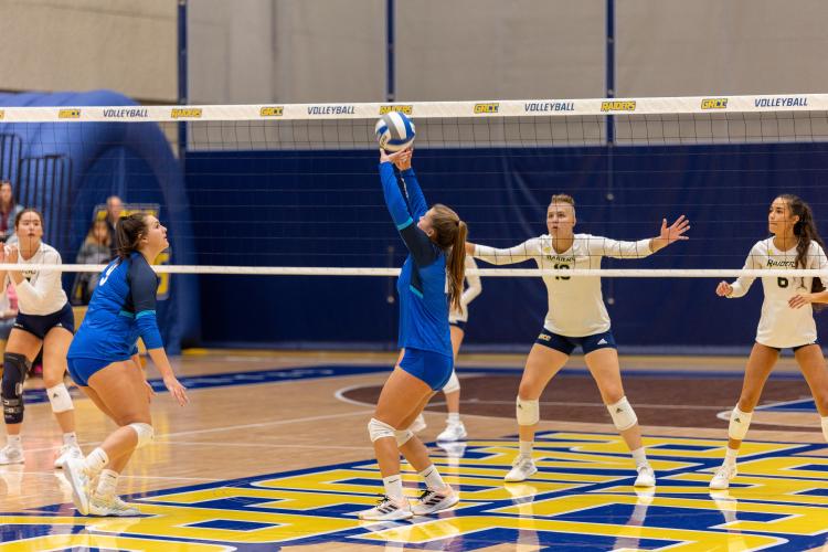 Alena Visnovsky prepares for a block.