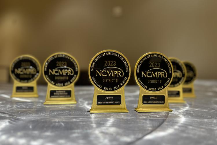 Six NCMPR Gold Awards on a table