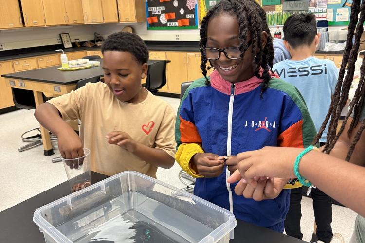 A male and a female student test how many pennies will float in a tinfoil boat.