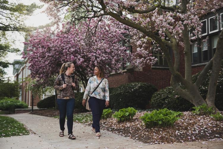 Students walking on the DeVos Campus with flowering trees behind them.