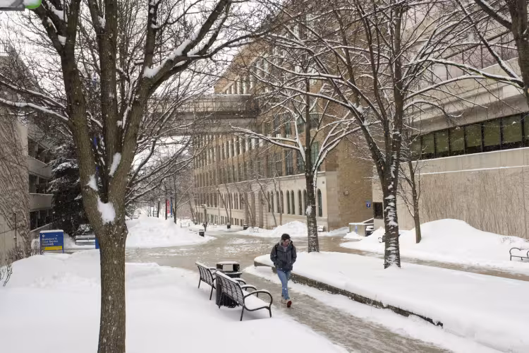 Winter scene on Olivarez Plaza. 