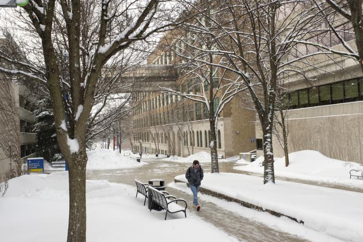Winter scene on Olivarez Plaza. 