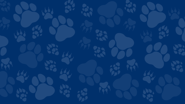 Pawprints from various animals