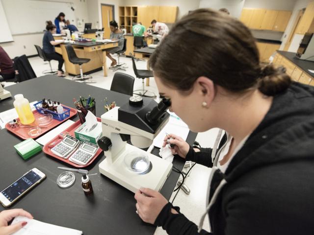 Student looking in microscope