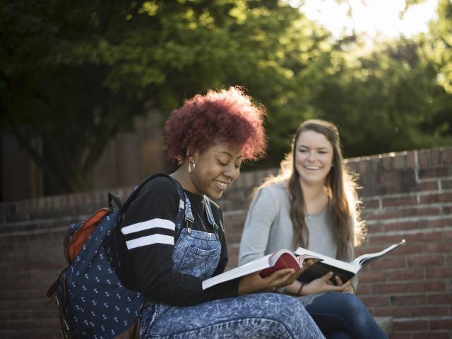 Students studying and talking on campus.