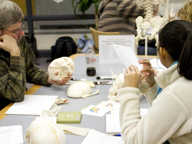 Anatomy students working with bones
