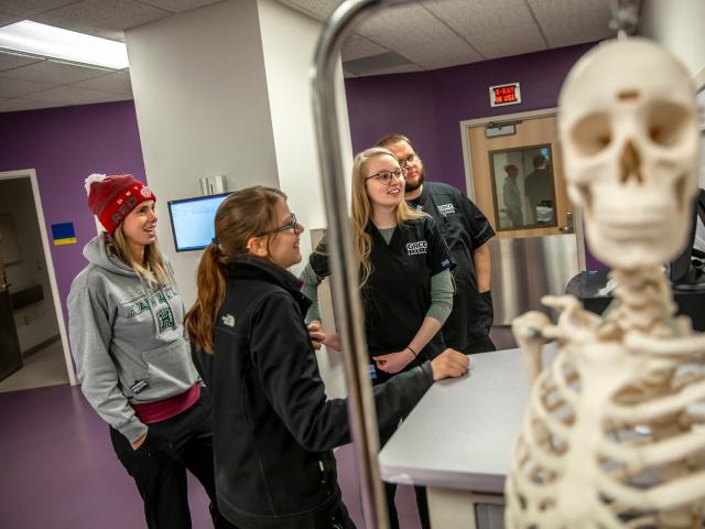 Radiology students looking at xrays