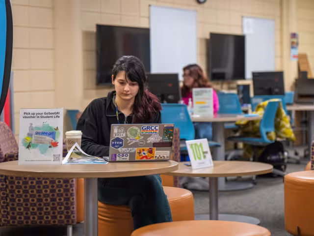 A person looks at a laptop.