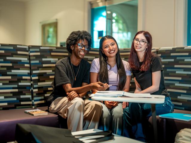 Students studying together.